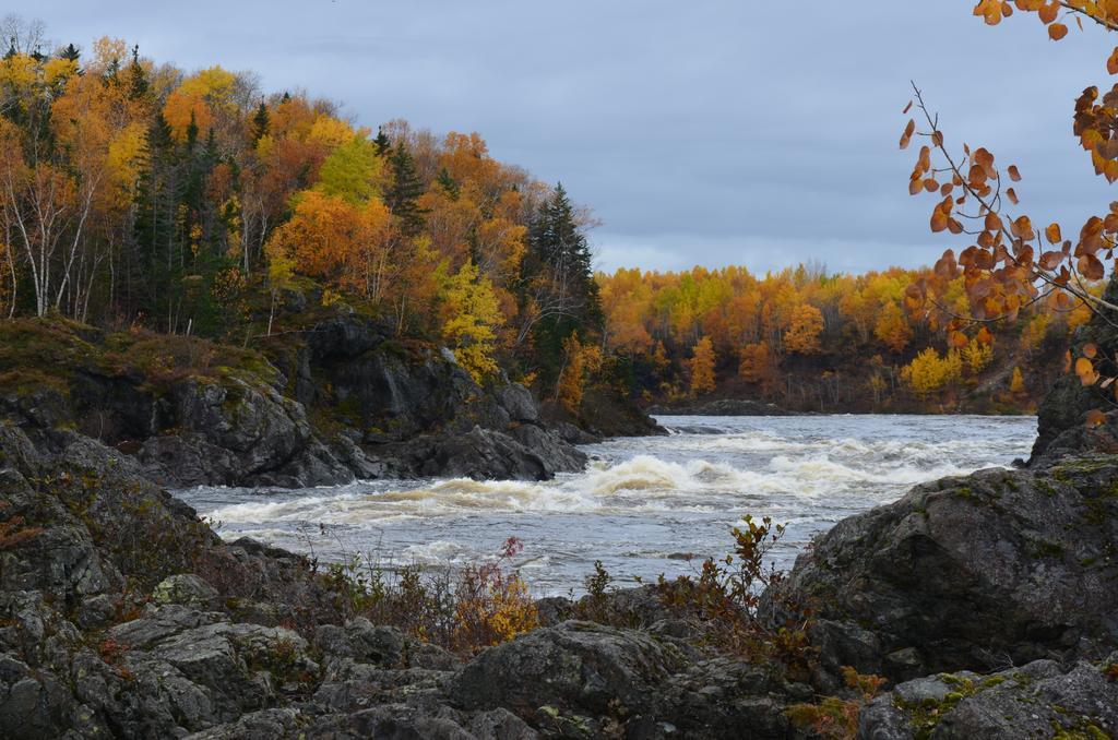 Mount Peyton Resort & Conference Centre (Adults Only) Grand Falls Windsor Exterior foto